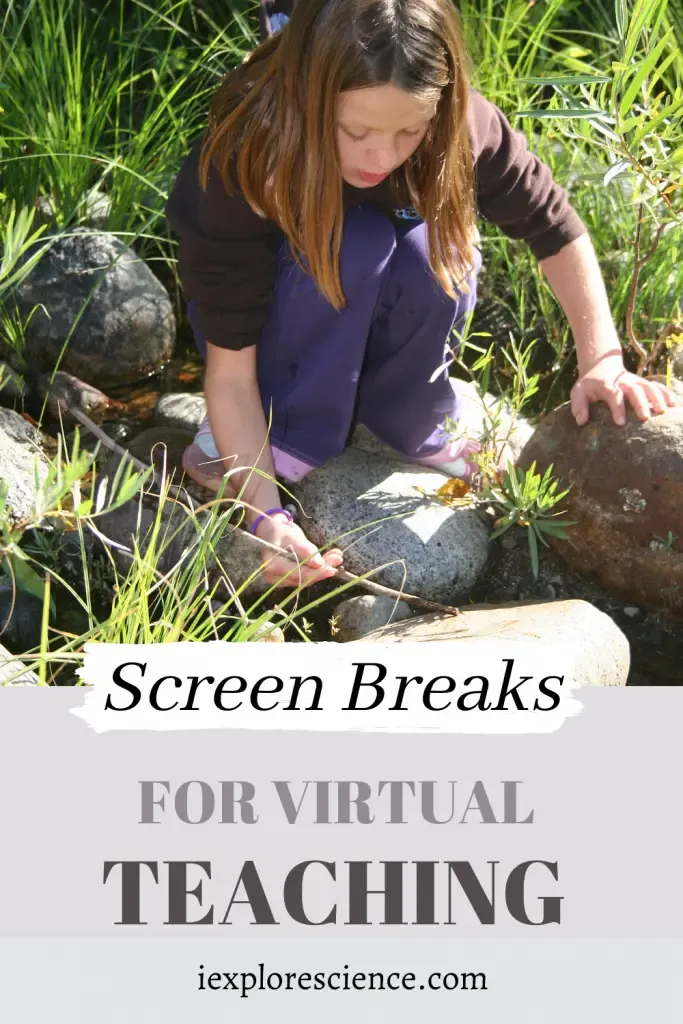 Screen Breaks for Virtual Teaching